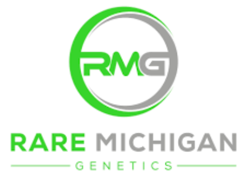 Screenshot 2025-05-12 150742